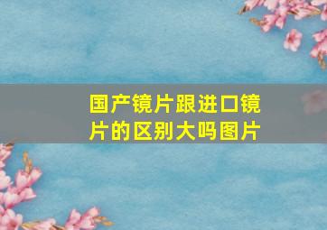 国产镜片跟进口镜片的区别大吗图片