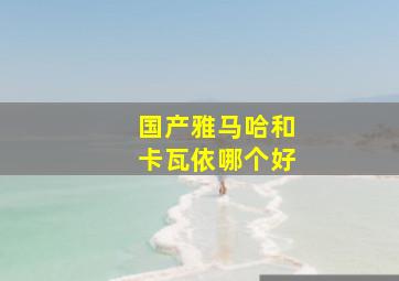 国产雅马哈和卡瓦依哪个好