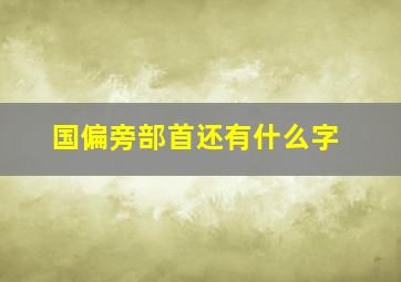 国偏旁部首还有什么字