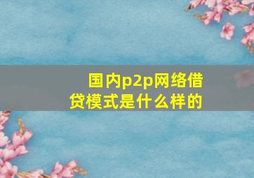 国内p2p网络借贷模式是什么样的