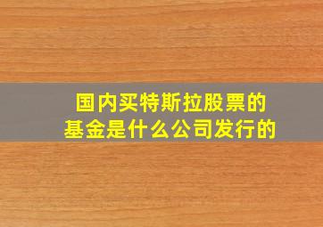 国内买特斯拉股票的基金是什么公司发行的