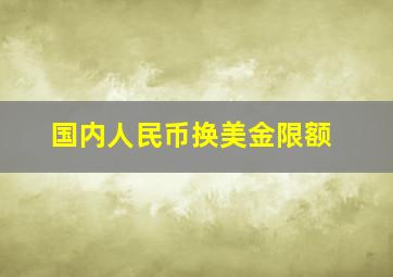 国内人民币换美金限额