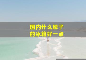 国内什么牌子的冰箱好一点