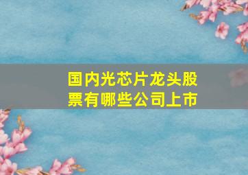 国内光芯片龙头股票有哪些公司上市