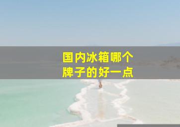 国内冰箱哪个牌子的好一点