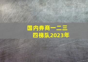 国内券商一二三四梯队2023年