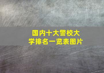 国内十大警校大学排名一览表图片