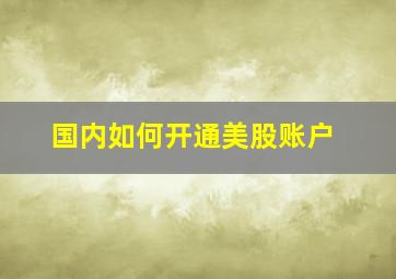 国内如何开通美股账户