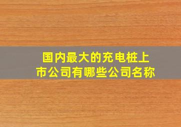 国内最大的充电桩上市公司有哪些公司名称