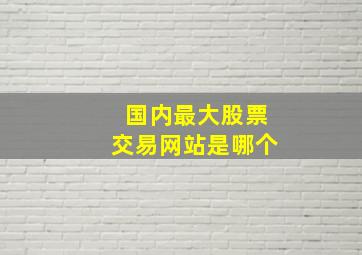 国内最大股票交易网站是哪个