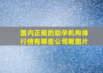 国内正规的助孕机构排行榜有哪些公司呢图片