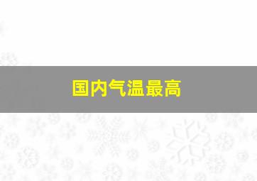 国内气温最高