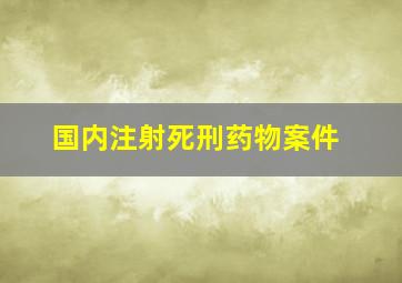 国内注射死刑药物案件