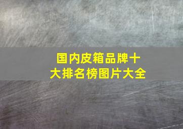 国内皮箱品牌十大排名榜图片大全