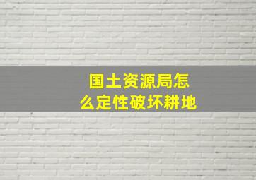 国土资源局怎么定性破坏耕地