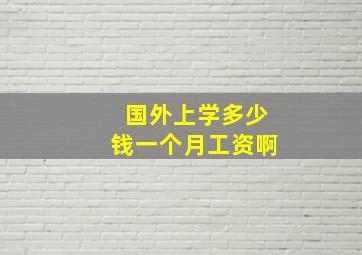 国外上学多少钱一个月工资啊