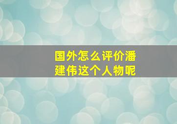 国外怎么评价潘建伟这个人物呢