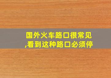 国外火车路口很常见,看到这种路口必须停