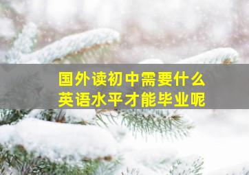 国外读初中需要什么英语水平才能毕业呢