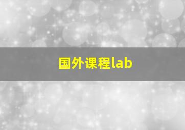 国外课程lab