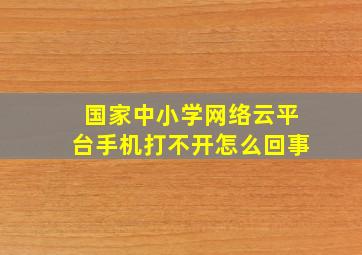 国家中小学网络云平台手机打不开怎么回事