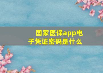 国家医保app电子凭证密码是什么