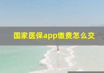 国家医保app缴费怎么交