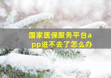 国家医保服务平台app进不去了怎么办