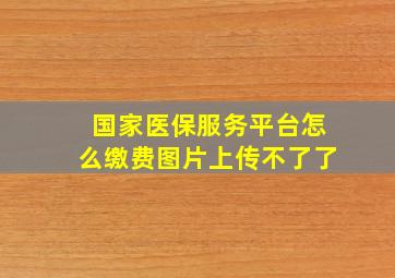 国家医保服务平台怎么缴费图片上传不了了