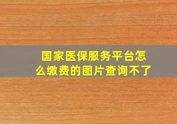 国家医保服务平台怎么缴费的图片查询不了