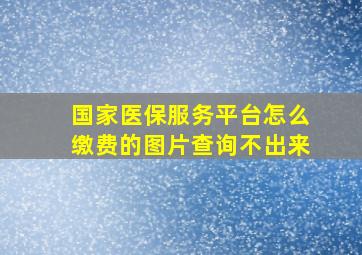 国家医保服务平台怎么缴费的图片查询不出来