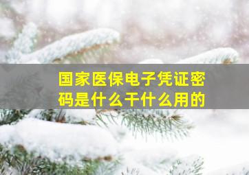 国家医保电子凭证密码是什么干什么用的