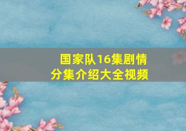 国家队16集剧情分集介绍大全视频