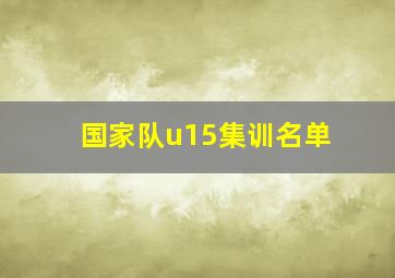 国家队u15集训名单