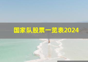 国家队股票一览表2024