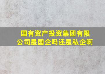 国有资产投资集团有限公司是国企吗还是私企啊