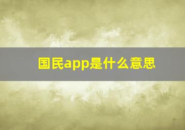 国民app是什么意思