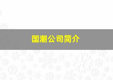 国潮公司简介