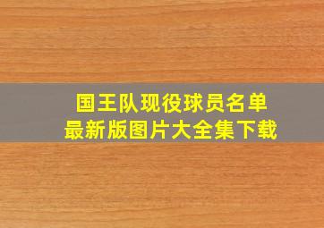 国王队现役球员名单最新版图片大全集下载