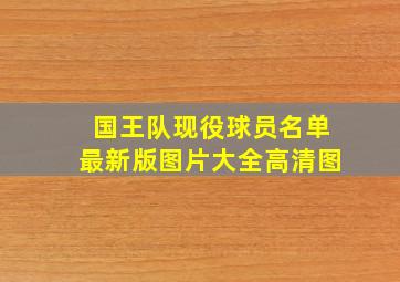 国王队现役球员名单最新版图片大全高清图