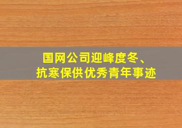 国网公司迎峰度冬、抗寒保供优秀青年事迹