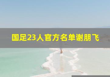 国足23人官方名单谢朋飞