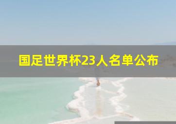 国足世界杯23人名单公布