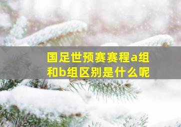 国足世预赛赛程a组和b组区别是什么呢