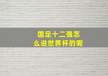 国足十二强怎么进世界杯的呢