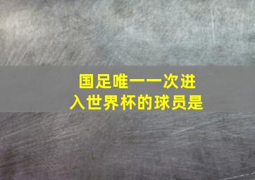 国足唯一一次进入世界杯的球员是