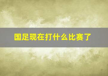 国足现在打什么比赛了