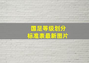 国足等级划分标准表最新图片