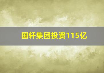 国轩集团投资115亿