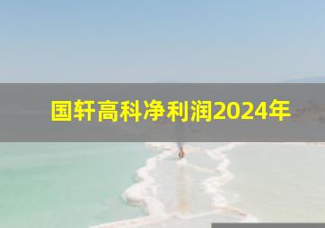 国轩高科净利润2024年